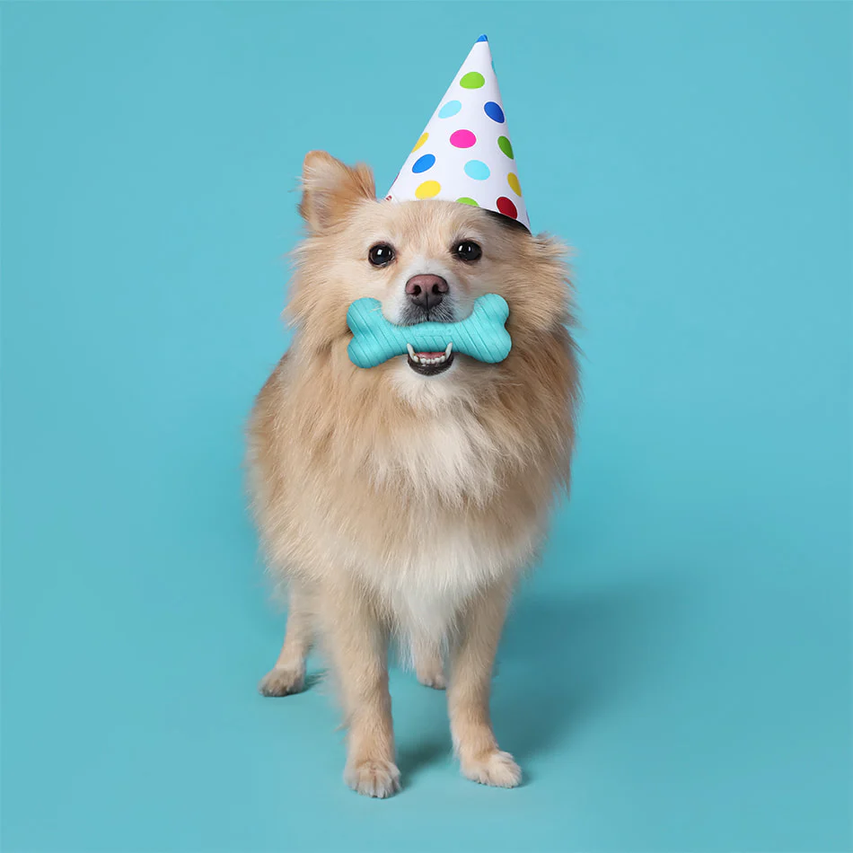 Small Birthday Gift Set - Peanut Butter - Image 3