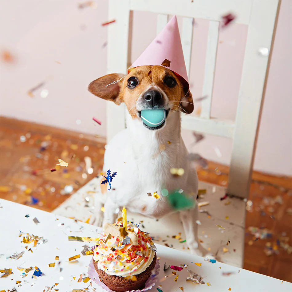Small Birthday Gift Set - Peanut Butter - Image 4