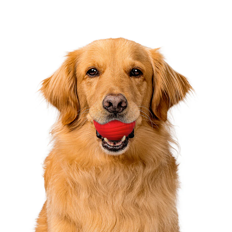 Dual Layer Ball - Image 11
