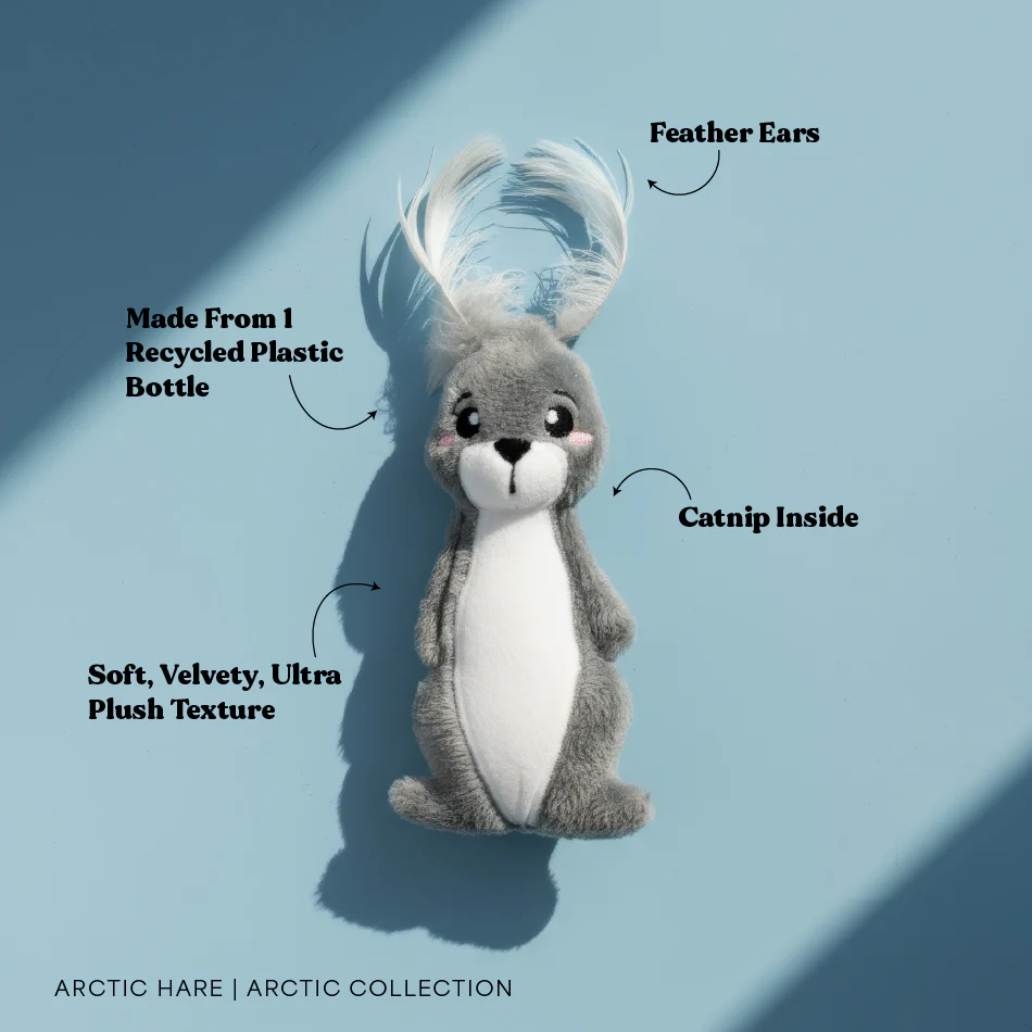Artie the Arctic Hare - Image 4