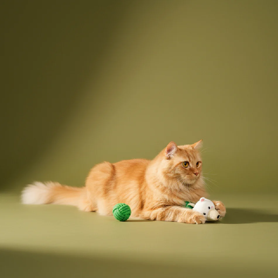 Earth Animals 5-pack - Image 4