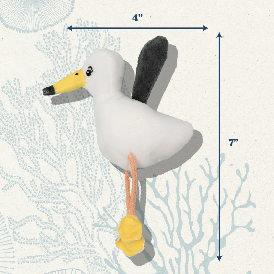 Sally the Seagull - Image 4