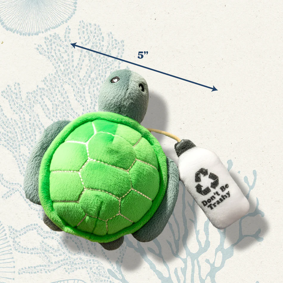 Tammy the Turtle Puzzle - Image 4
