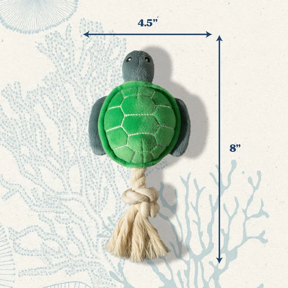Timmy the Turtle - Image 4