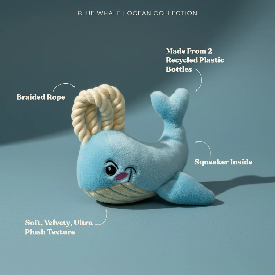 Wendy the Whale - Image 8