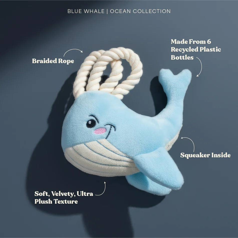 Wendy the Whale - Image 9