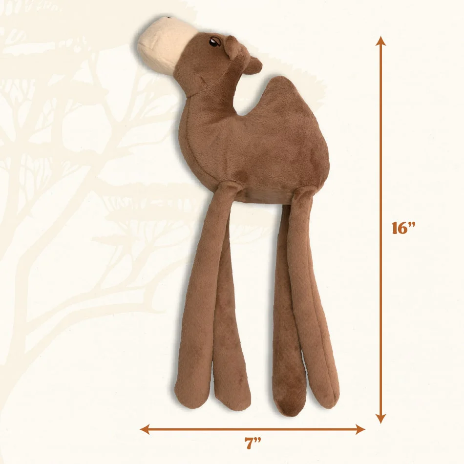 Calvin the Camel - Image 3