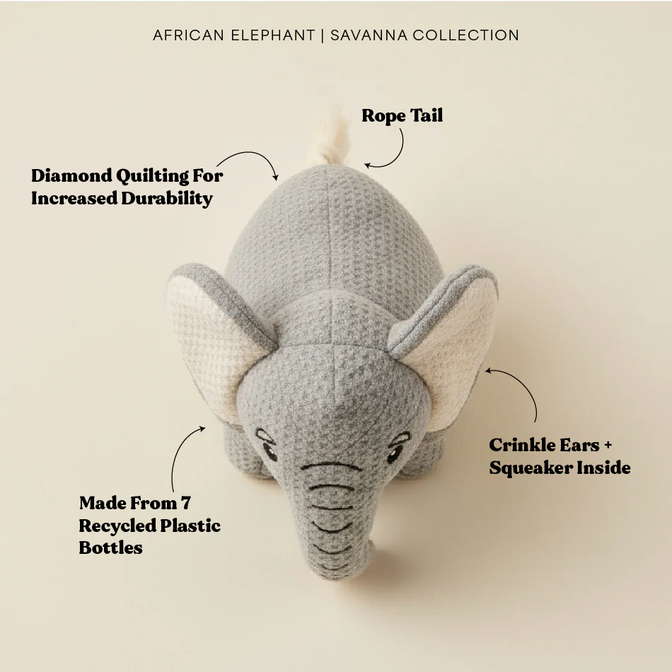 Ellie the Elephant - Image 8