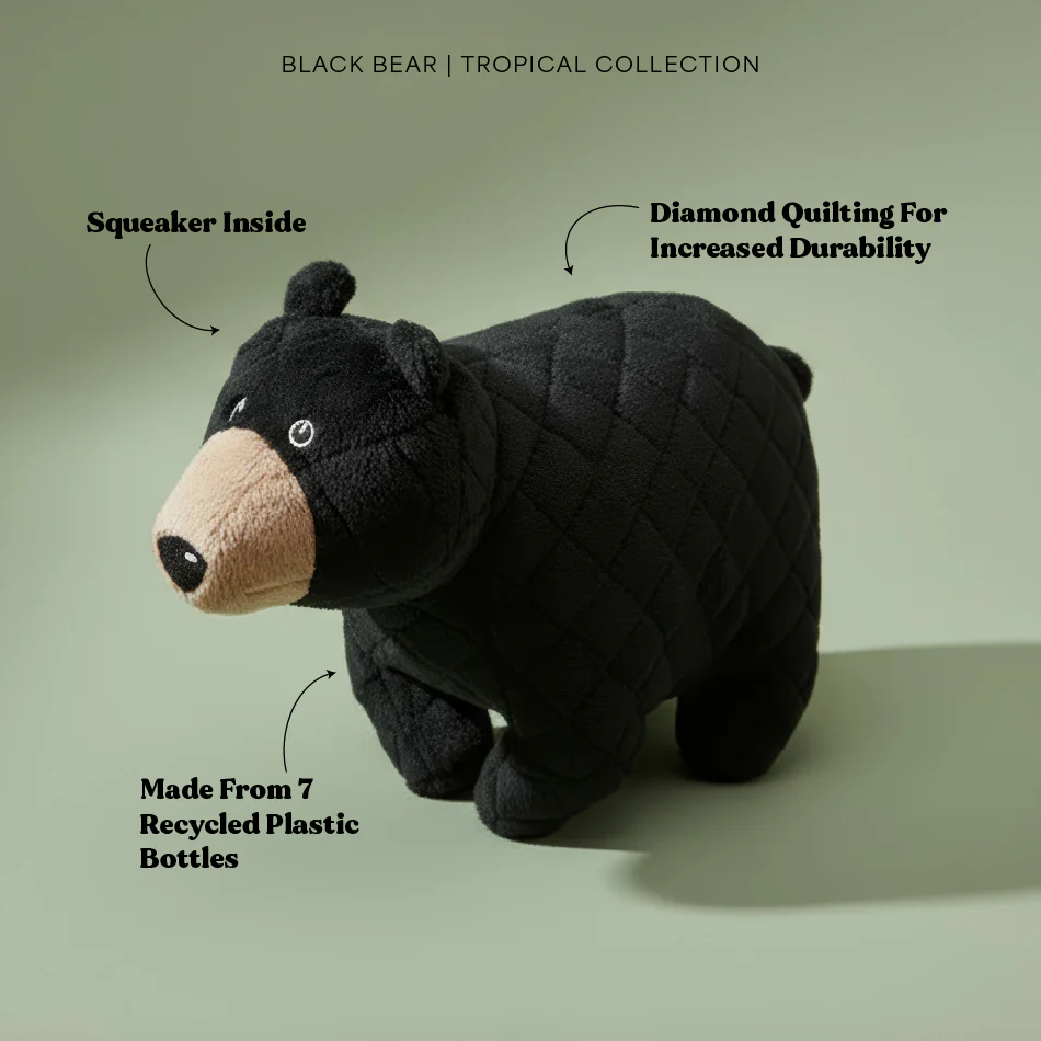 Brandy the Black Bear - Image 4