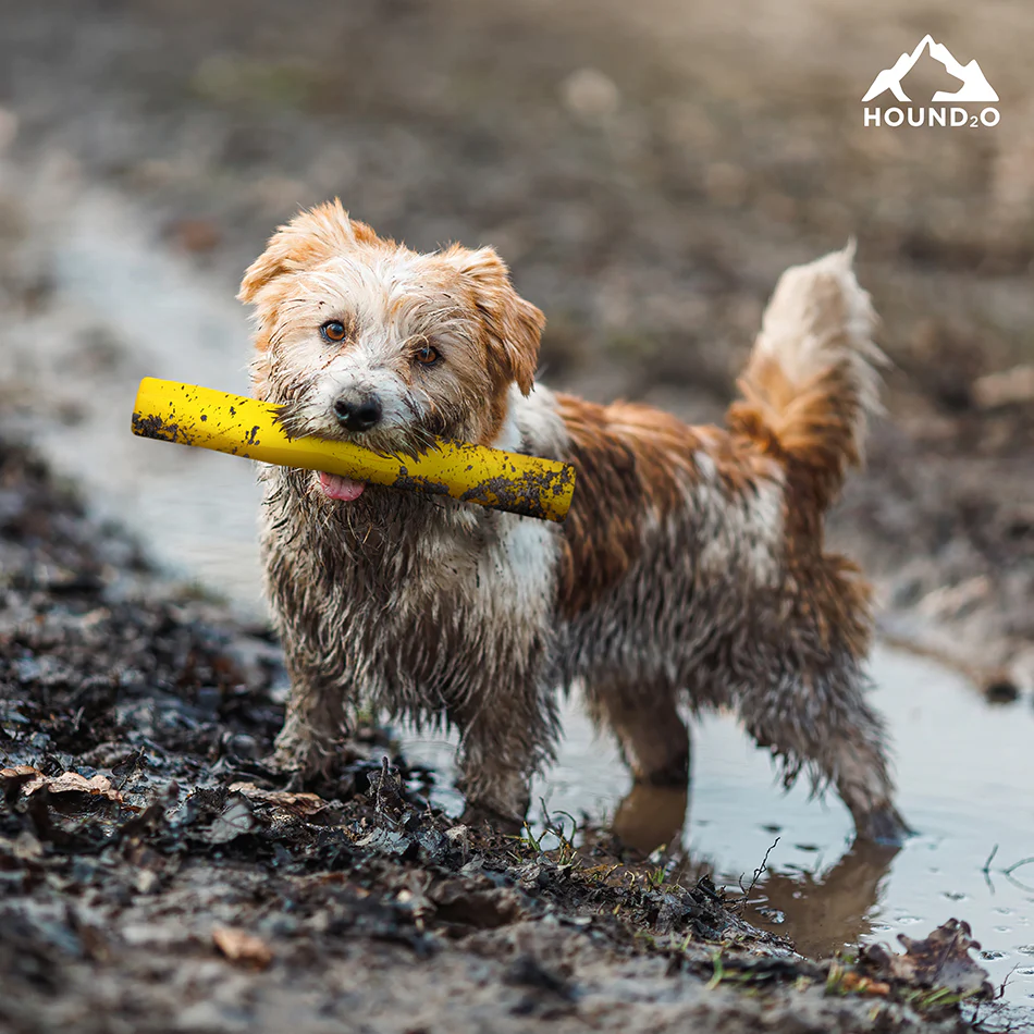 Fetch Stick - Image 11