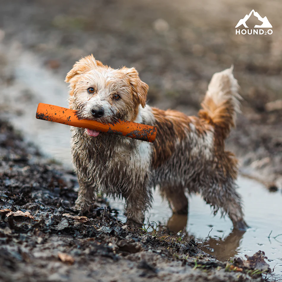 Fetch Stick - Image 6