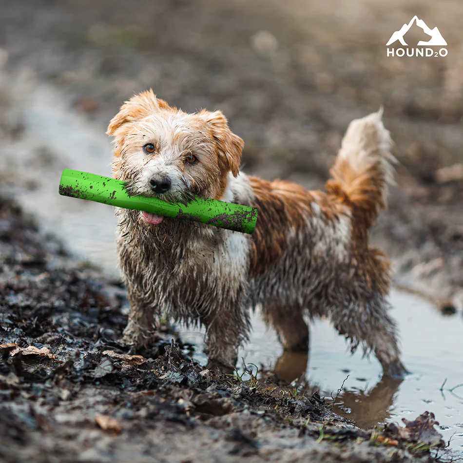 Fetch Stick - Image 8