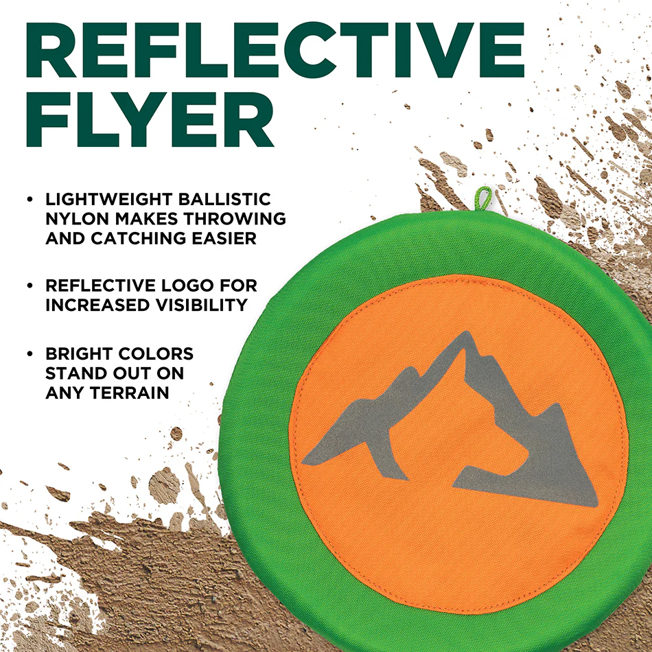 Reflective Flyer - Image 3