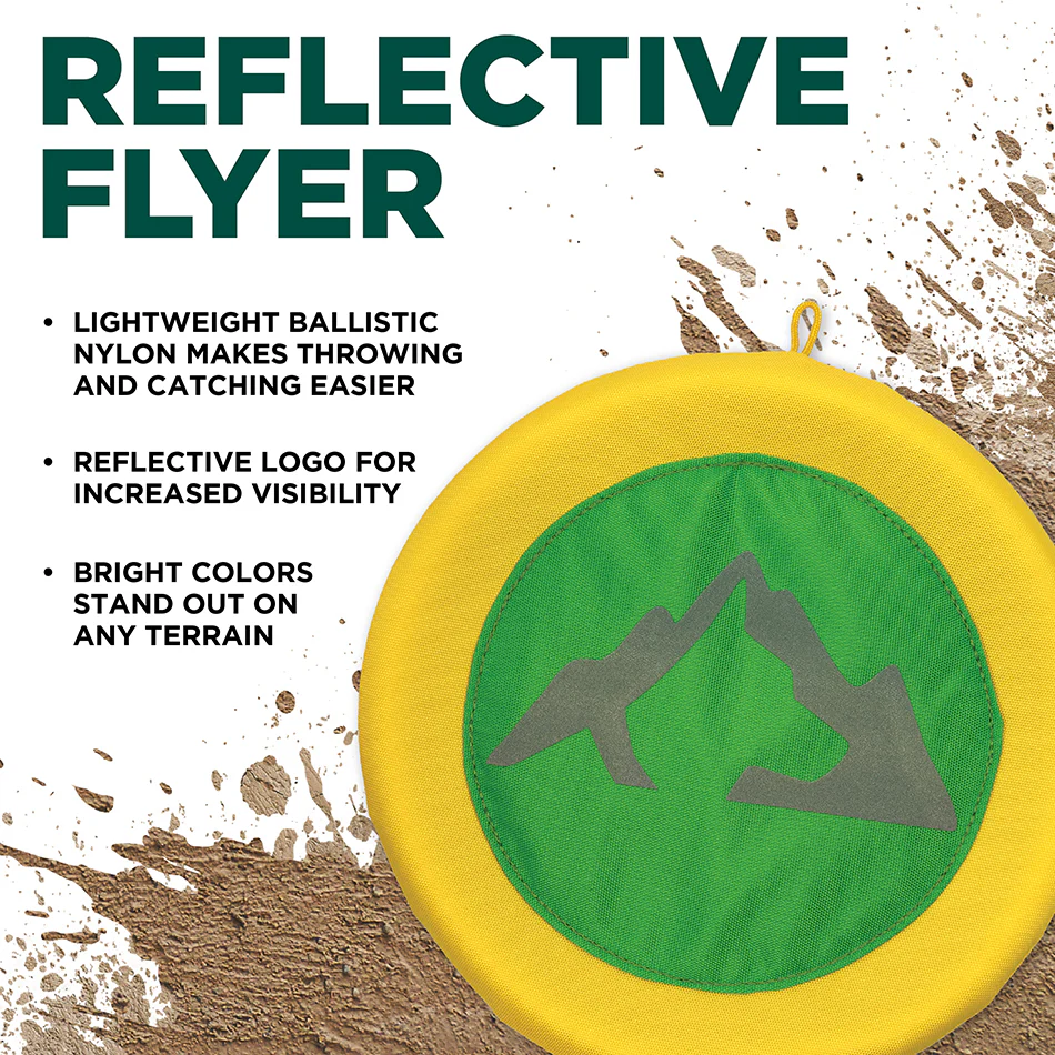 Reflective Flyer - Image 6