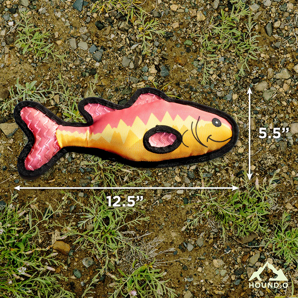 Bass Fish - Image 4