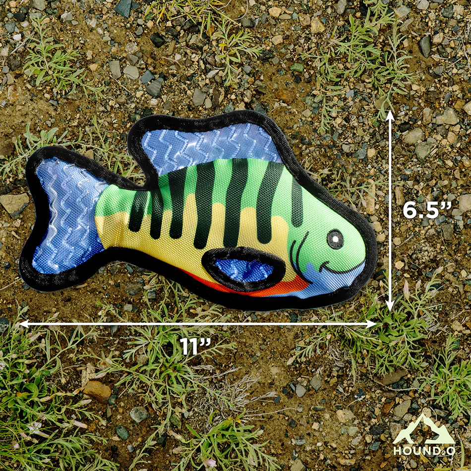 Bluegill Fish - Image 4