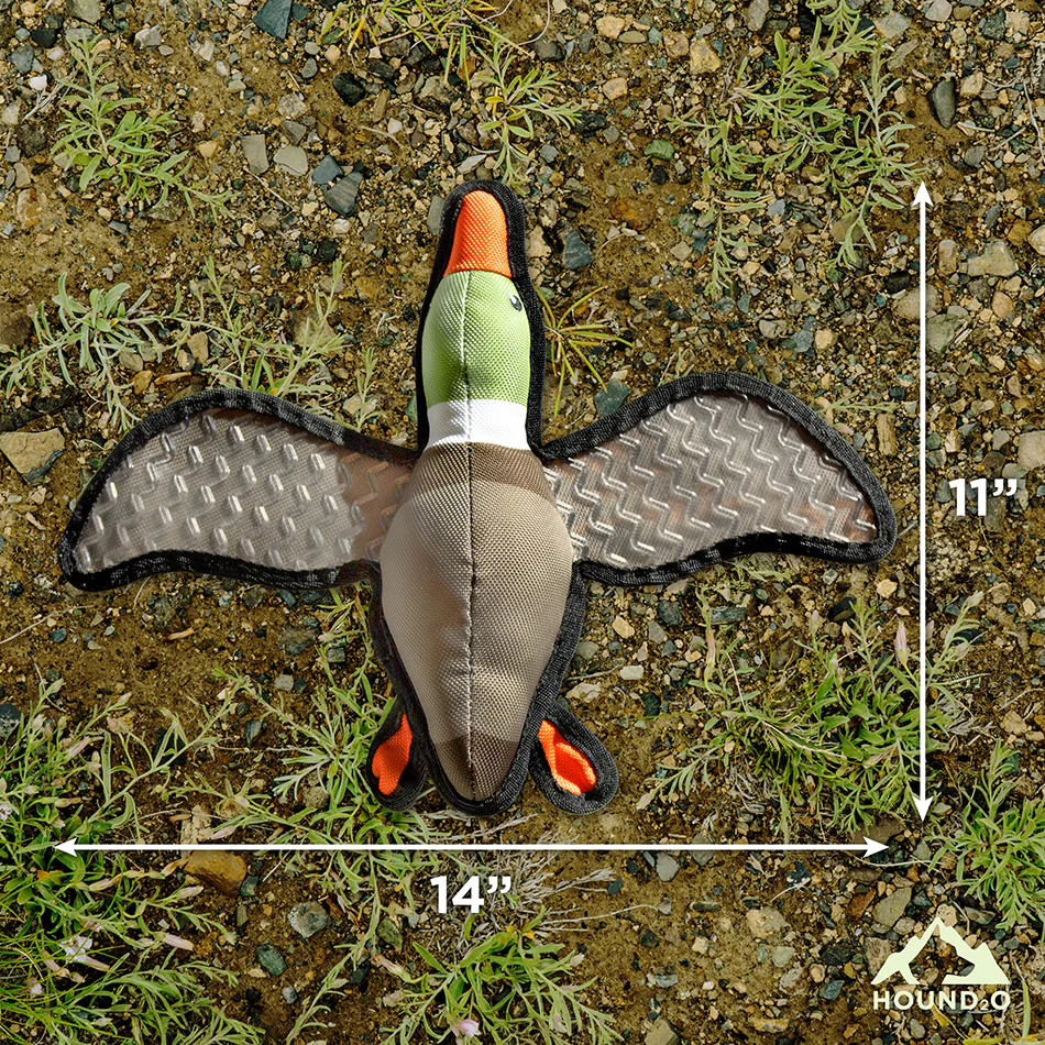 Flying Duck - Image 4