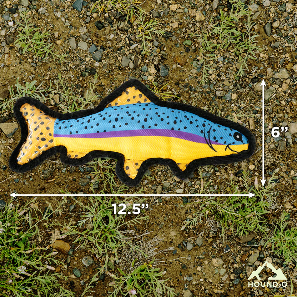Spotted Trout - Image 4