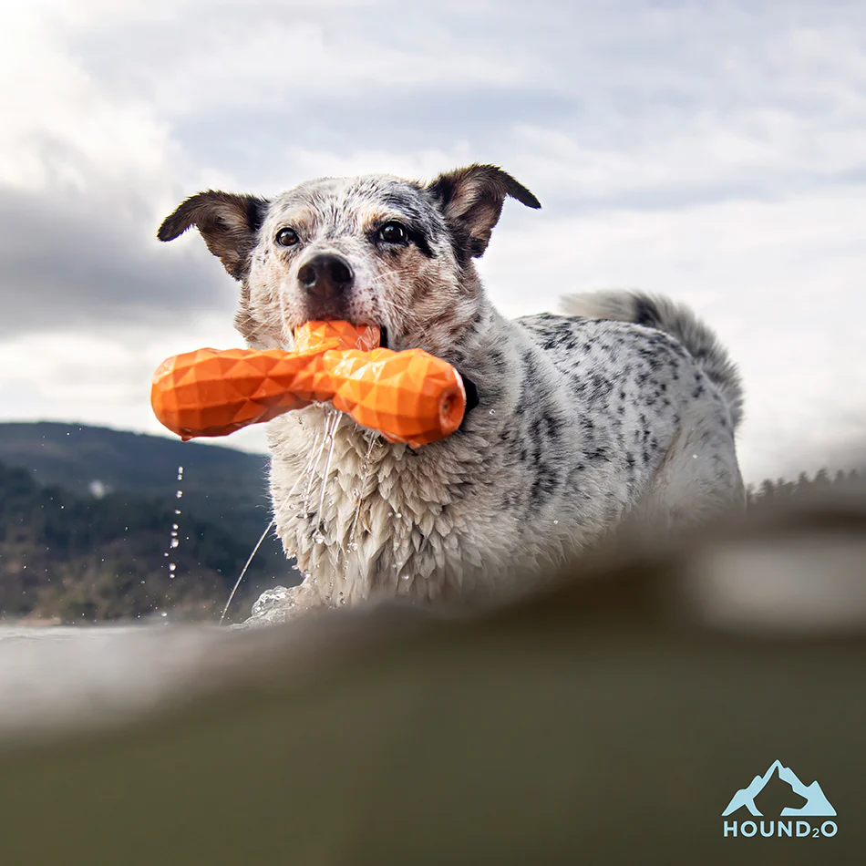 Squeaky Boomerang - Image 11