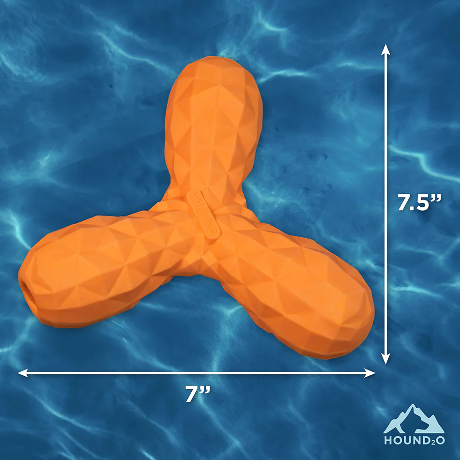 Squeaky Boomerang - Image 12