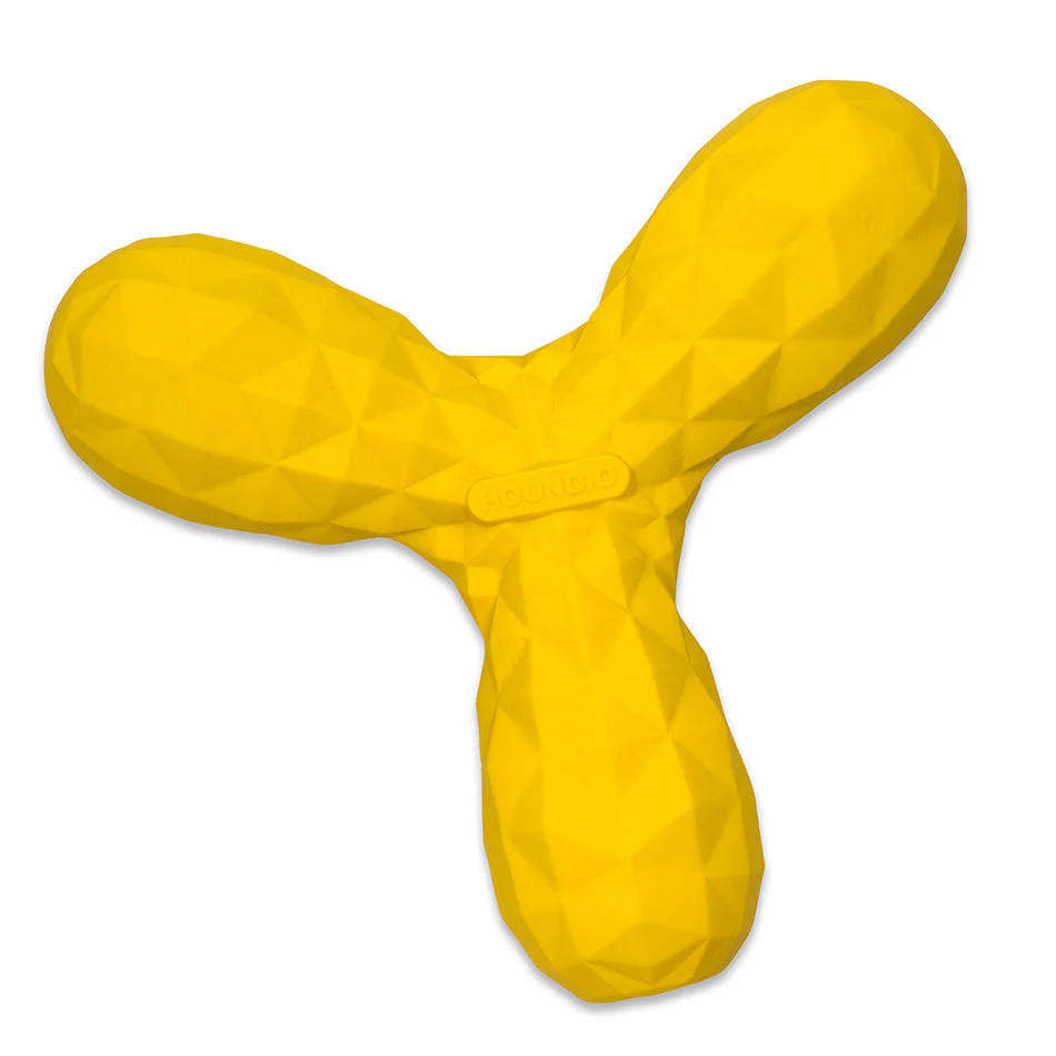 Squeaky Boomerang - Image 3
