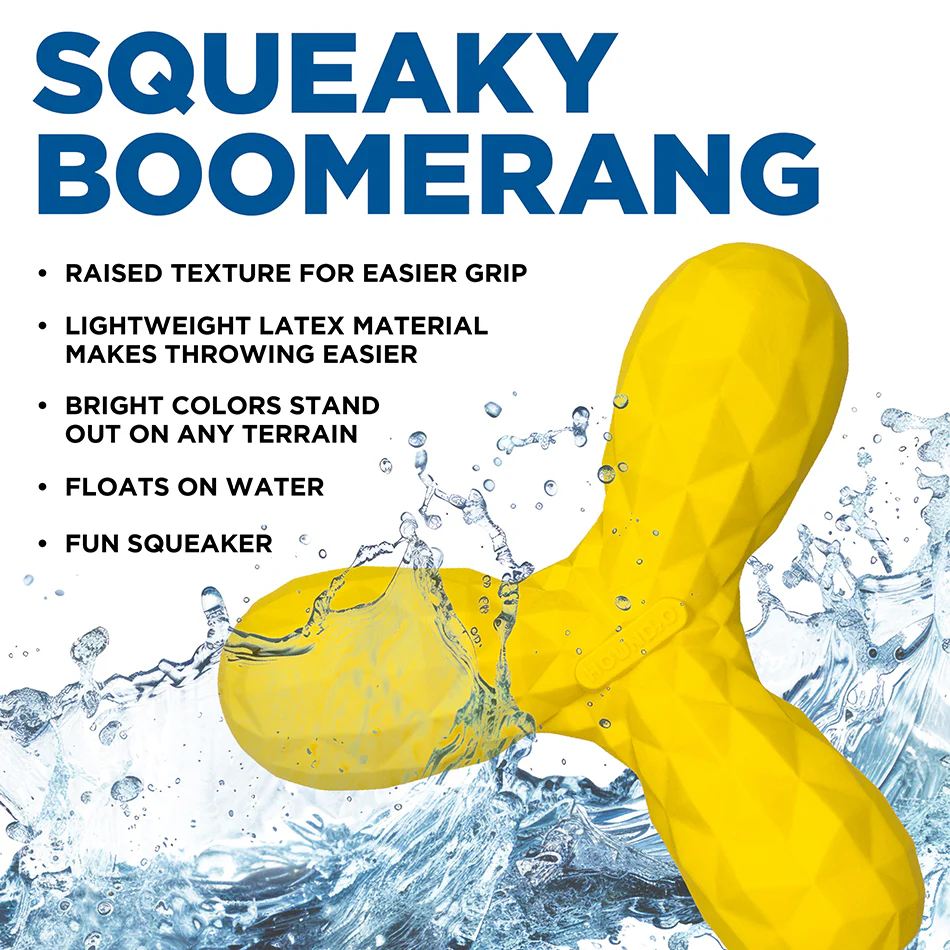 Squeaky Boomerang - Image 4