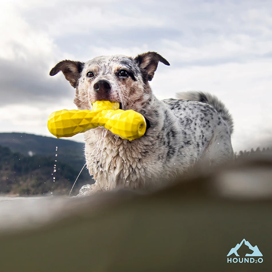 Squeaky Boomerang - Image 5