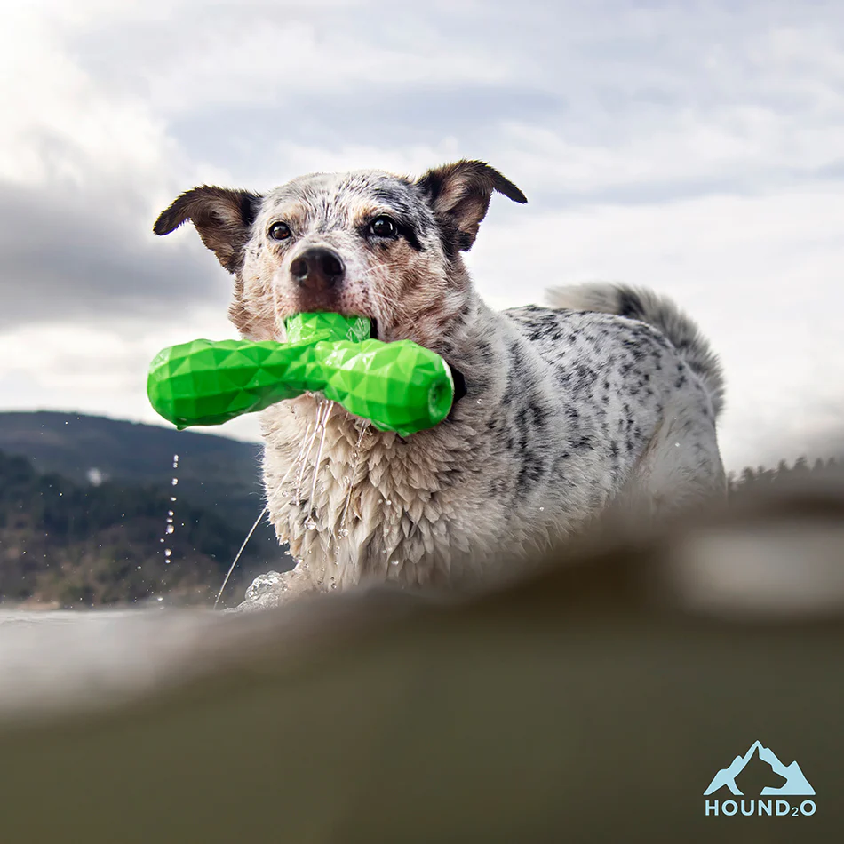 Squeaky Boomerang - Image 9
