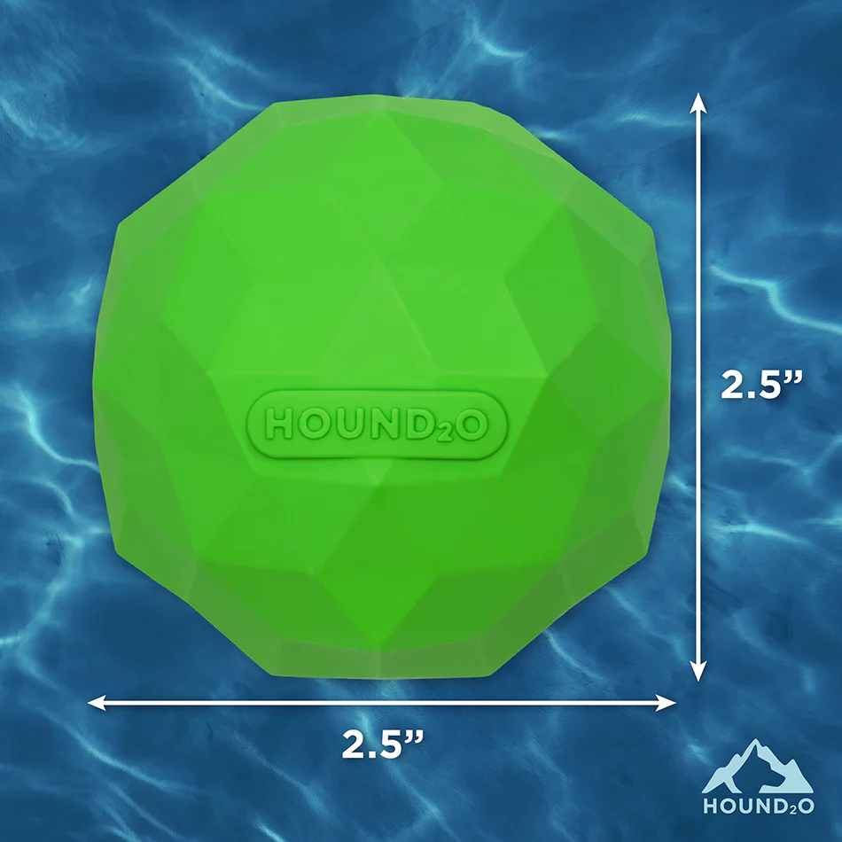 Squeaky Fetch Ball - Image 6