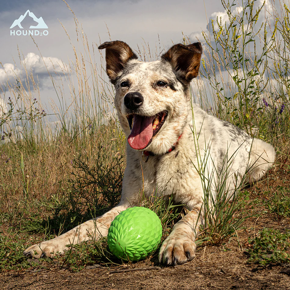Squeaky Football - Image 5