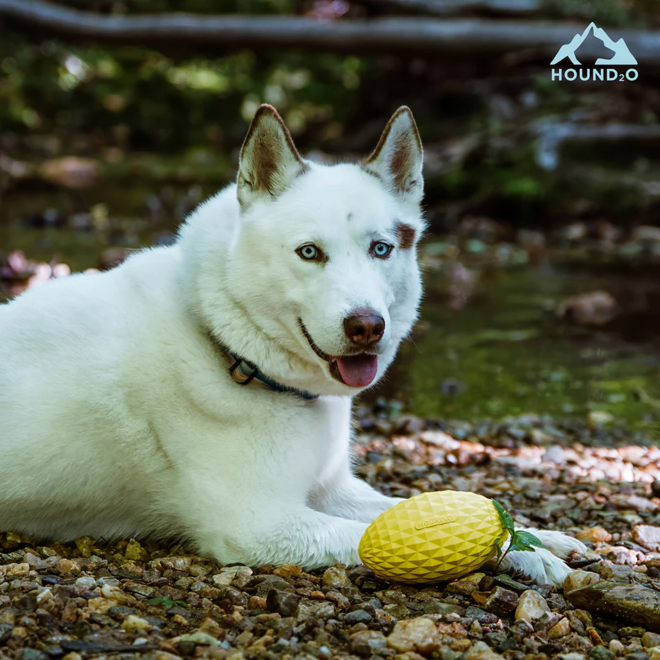 Squeaky Football - Image 9