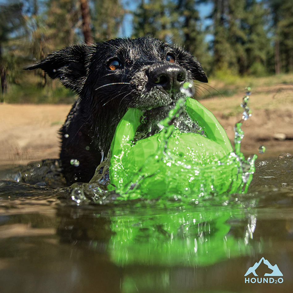 Squeaky Tug Ball - Image 11