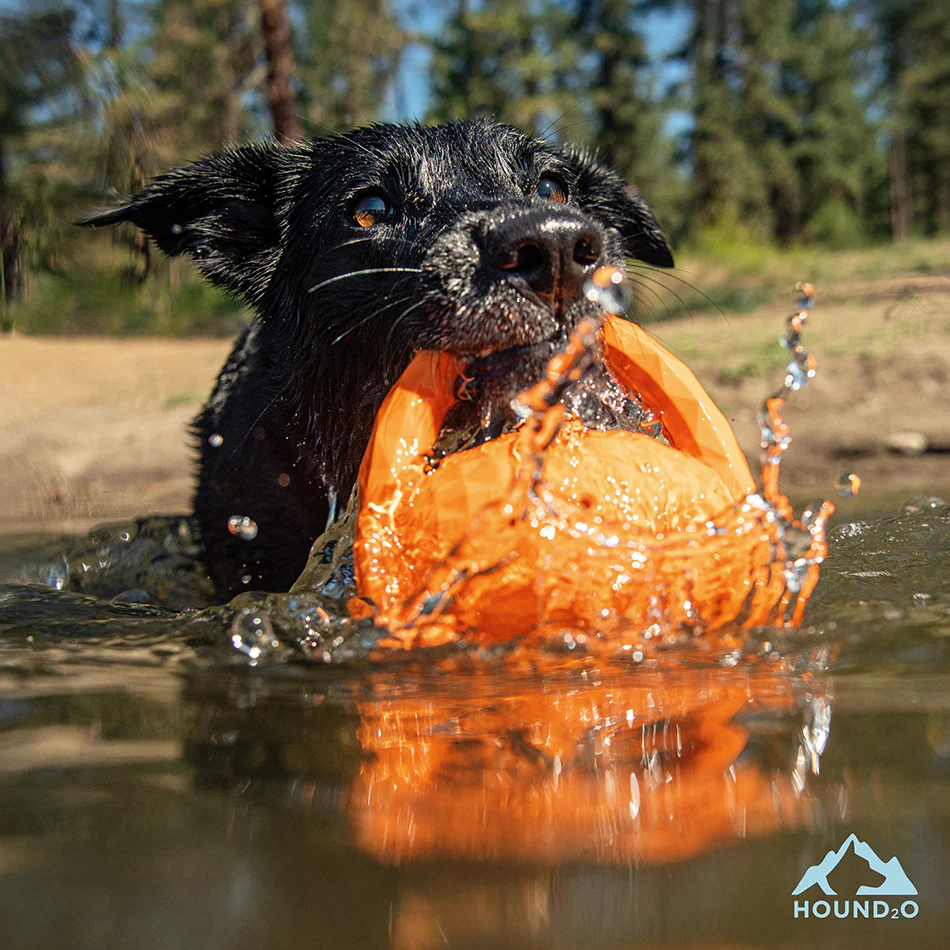 Squeaky Tug Ball - Image 5