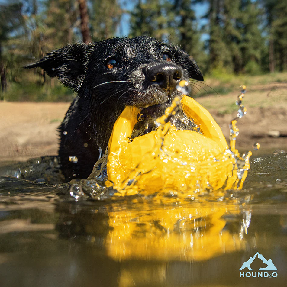 Squeaky Tug Ball - Image 8
