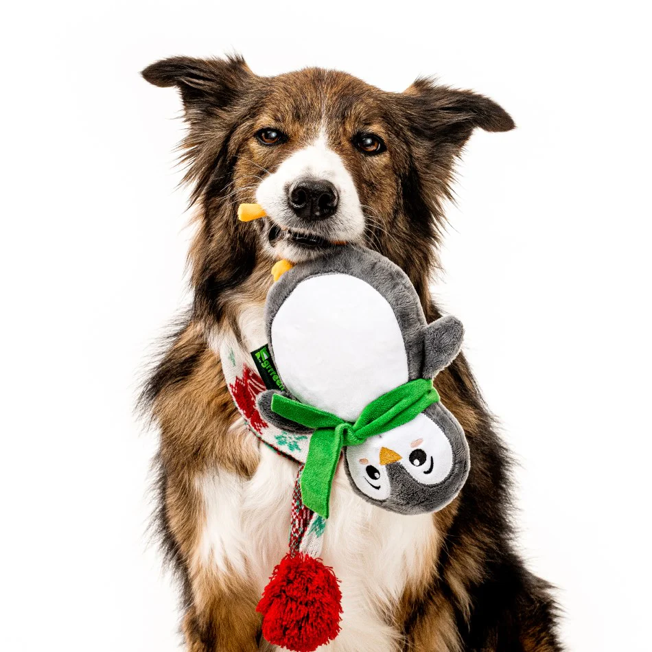 *Limited Edition* Pablo the Penguin - Image 3