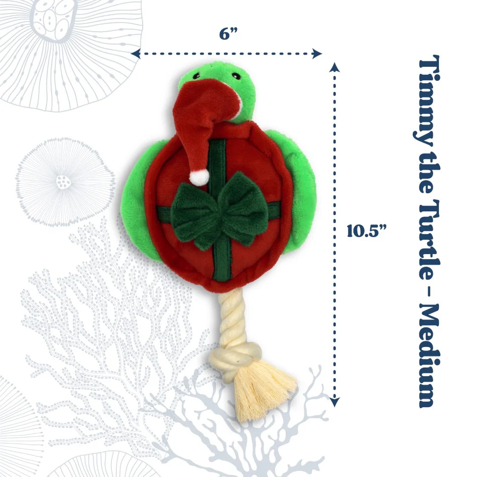 *Limited Edition* Timmy the Turtle - Image 4