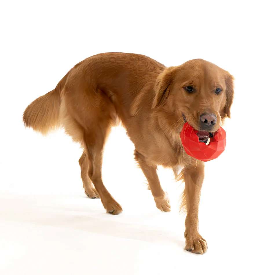 Channel Chew Ring - Image 13