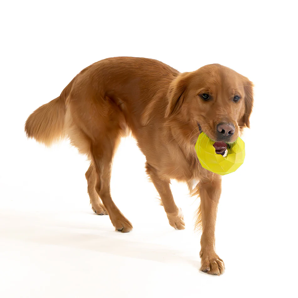 Channel Chew Ring - Image 15