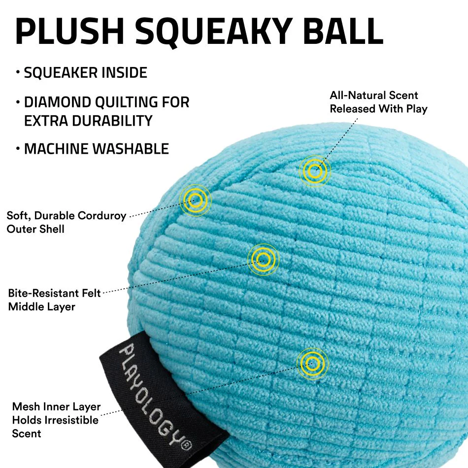 Squeaky Ball - Image 6