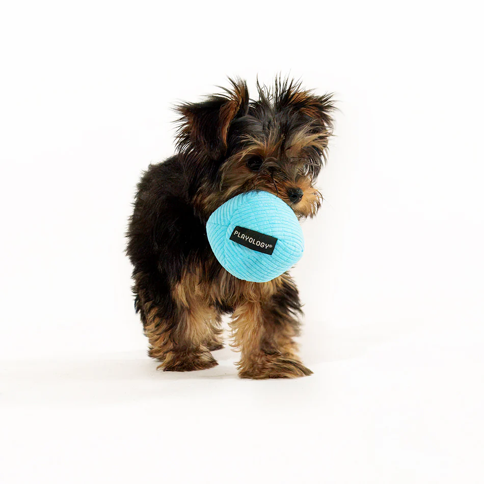 Squeaky Ball - Image 7
