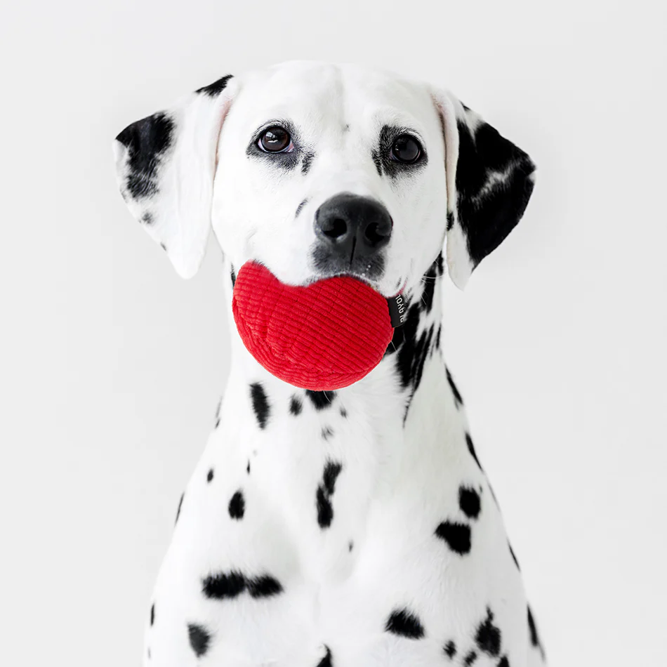 Squeaky Ball - Image 8
