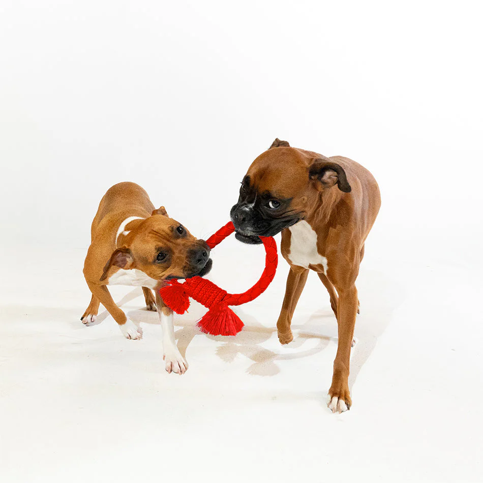 Dri-Tech Ring - Image 5