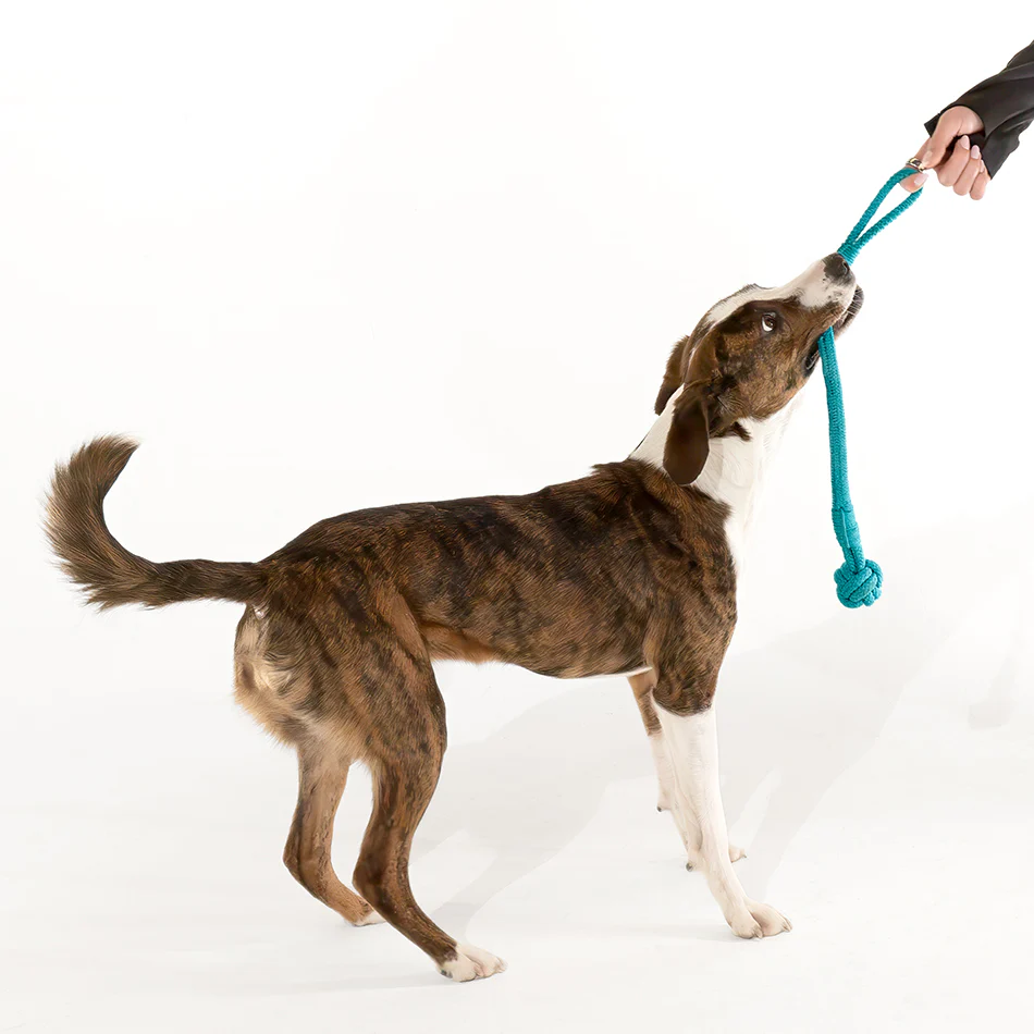 Tough Tug Knot - Image 11