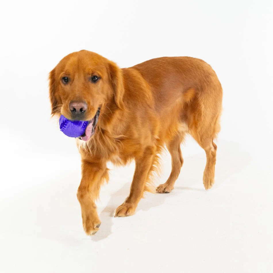 Dental Chew Ball - Image 8