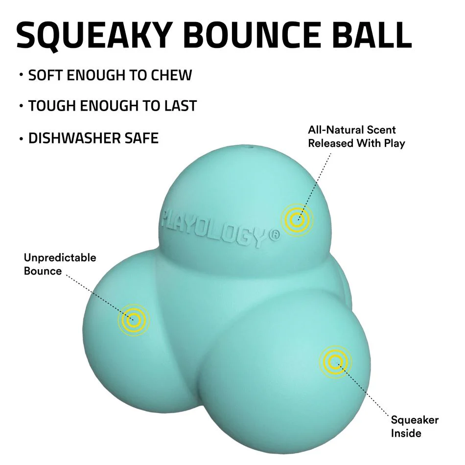 Squeaky Bounce Ball - Image 12