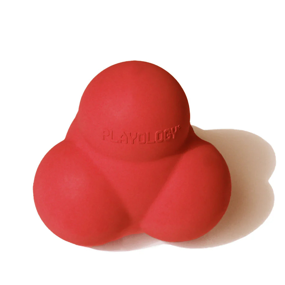 Squeaky Bounce Ball - Image 13
