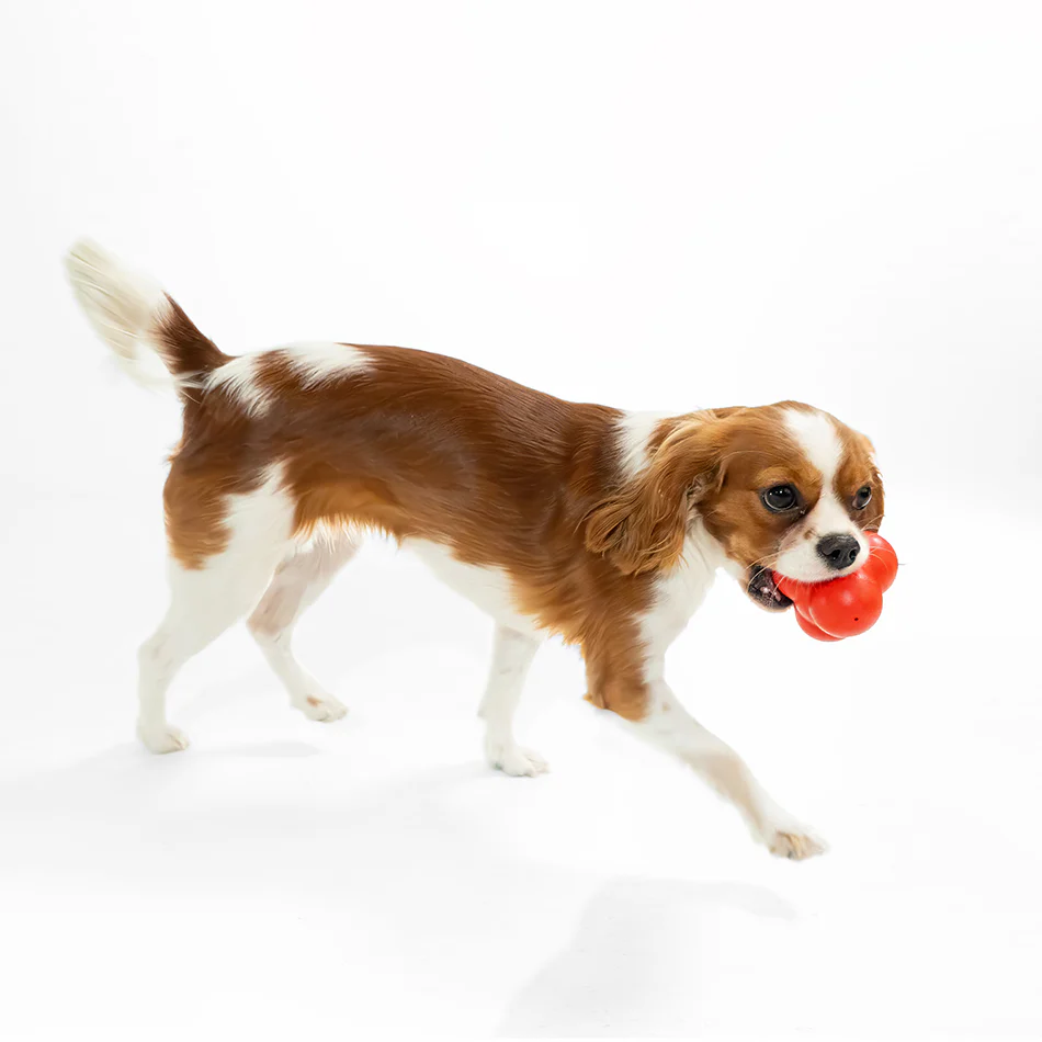 Squeaky Bounce Ball - Image 14