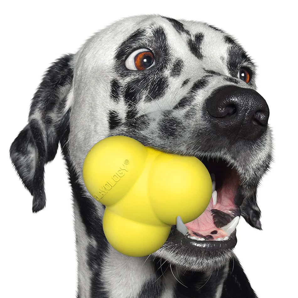 Squeaky Bounce Ball - Image 15