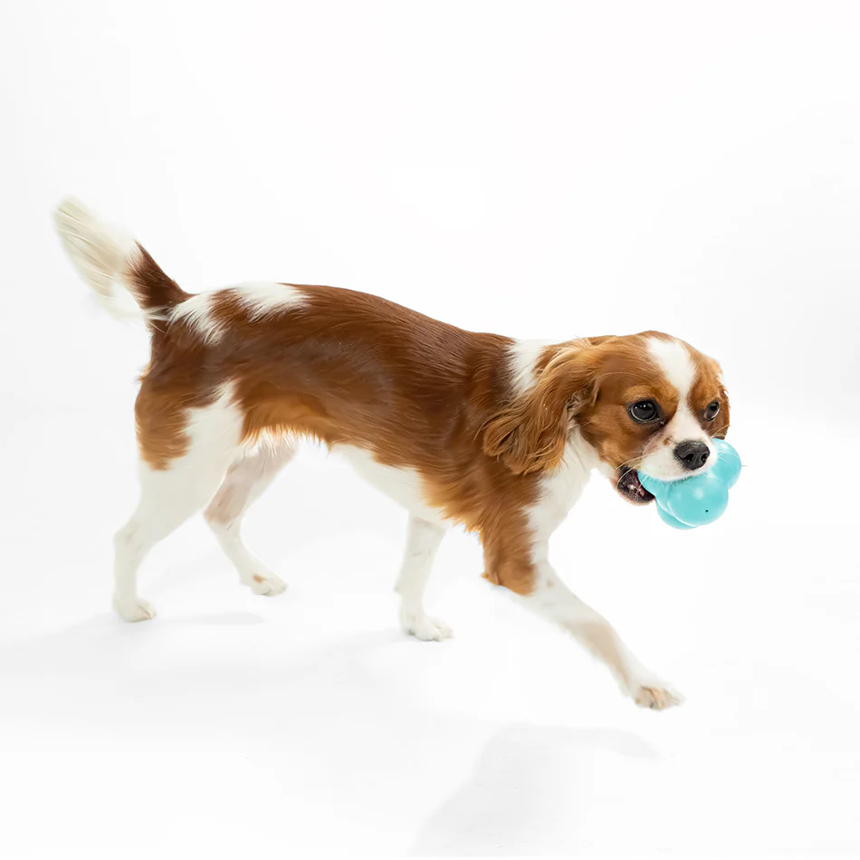 Squeaky Bounce Ball - Image 16