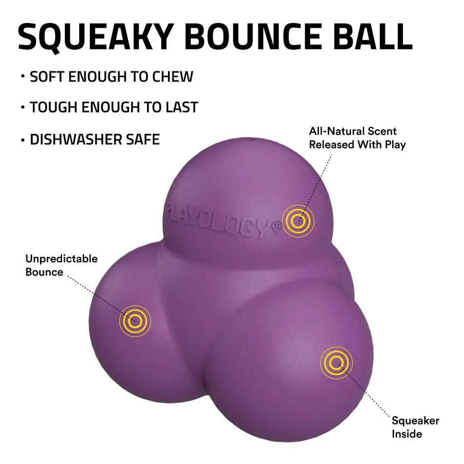 Squeaky Bounce Ball - Image 3